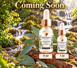 Eucalyptus Essential Oil